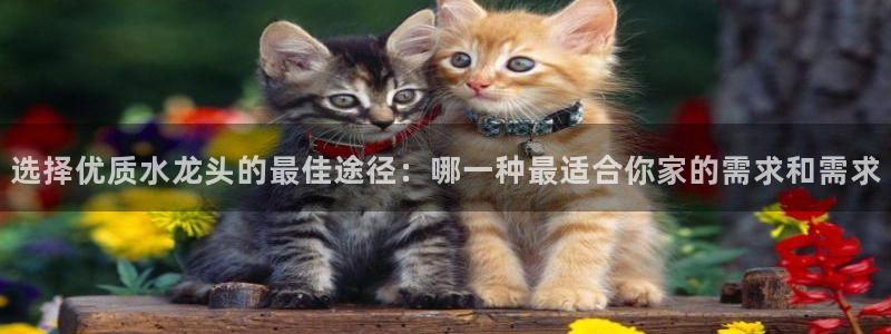 天辰娱乐的网址首页
