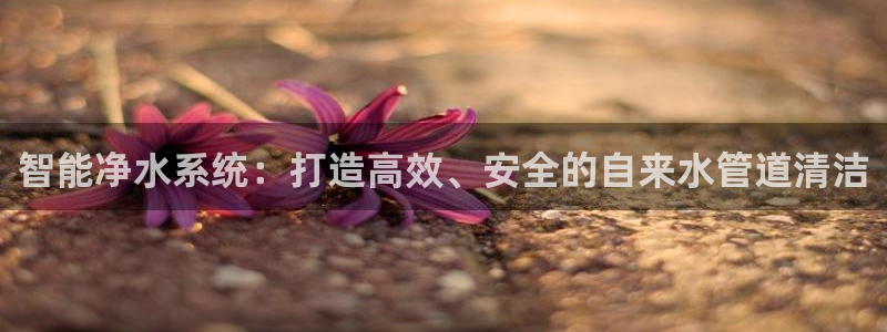 天辰娱乐22650