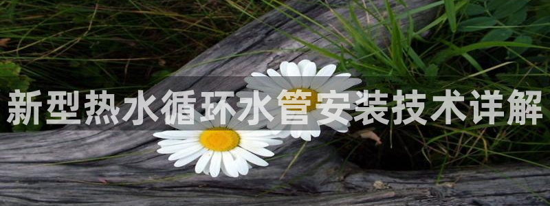 天辰娱乐登陆