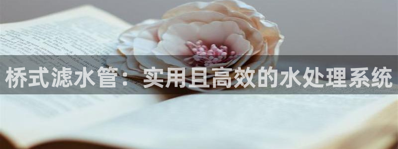 天辰娱乐 首选