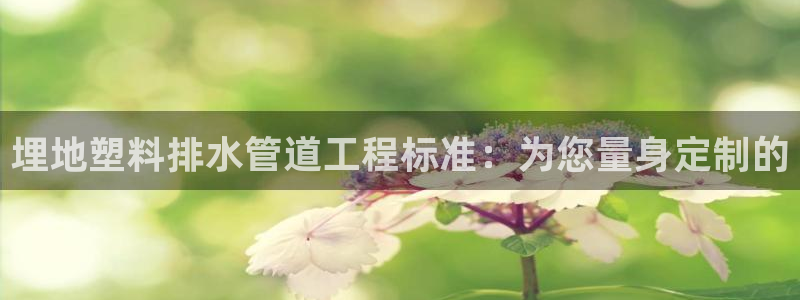 天辰娱乐481928