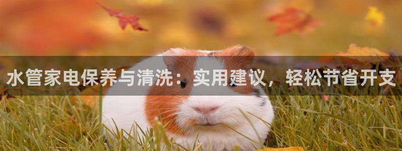 天辰娱乐股票
