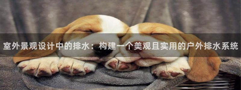 天辰娱乐地址