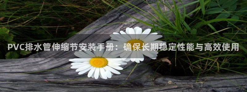 天辰娱乐上级