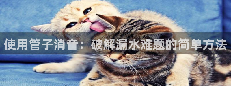 天辰娱乐-18113