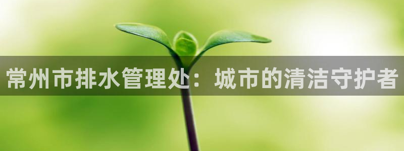 天辰团队贝高娱乐
