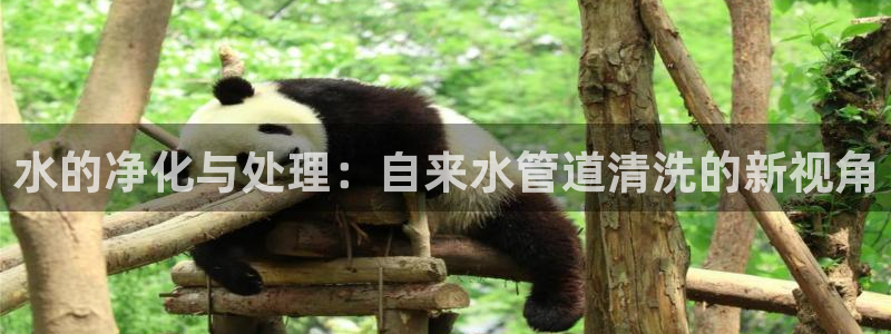 天辰娱乐连接