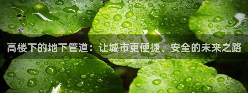 大同天辰娱乐