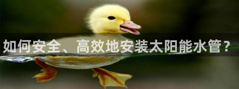 天辰娱乐下载地址